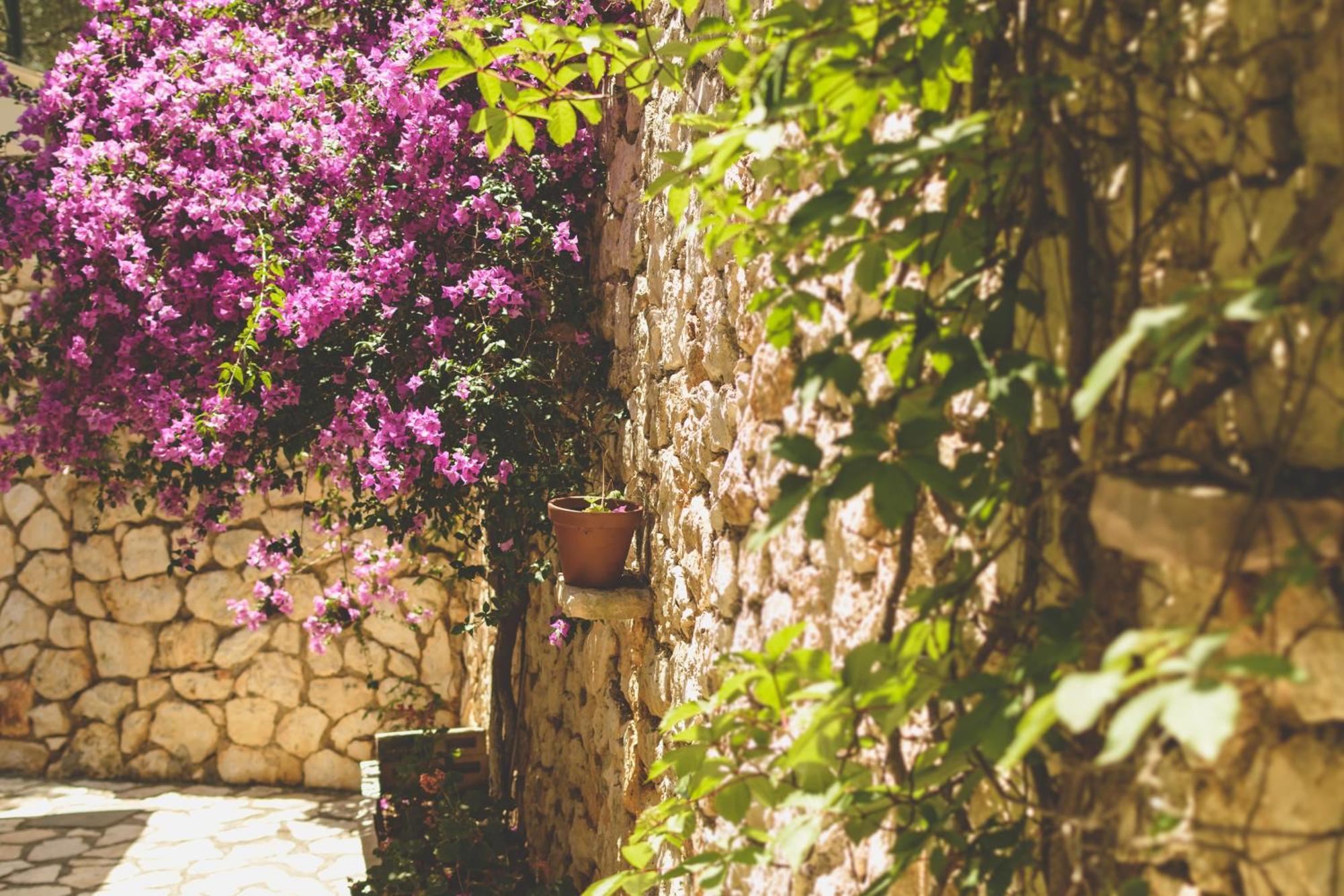 Althea Studios Lefkada Ayios Nikitas Ruang foto