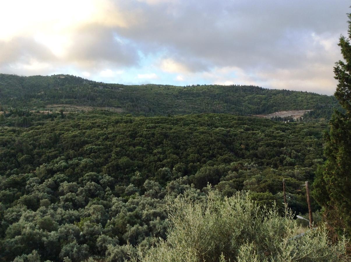 Althea Studios Lefkada Ayios Nikitas Bagian luar foto