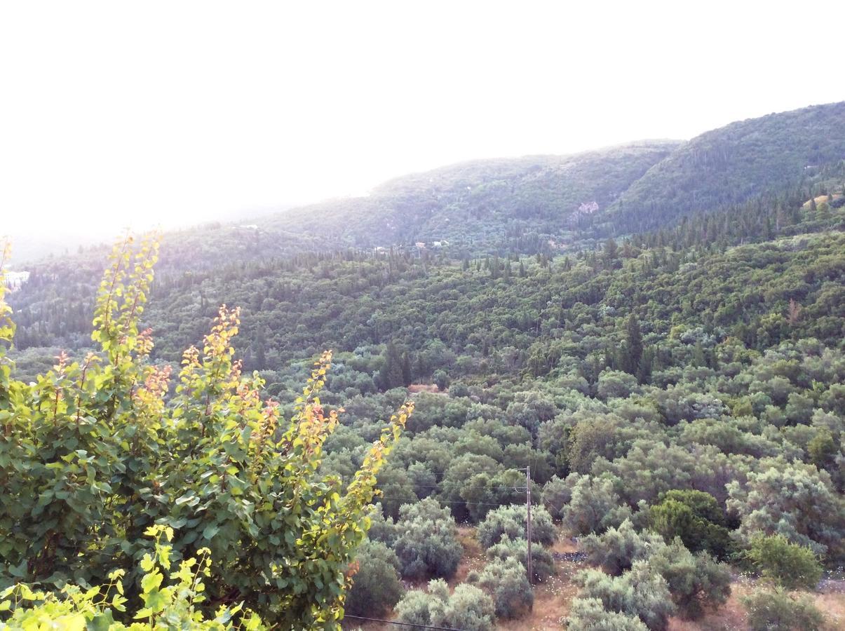 Althea Studios Lefkada Ayios Nikitas Bagian luar foto